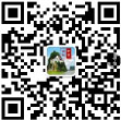 岳西網(wǎng)二維碼